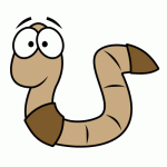 worm
